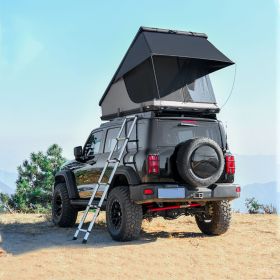 Roof Top Tent Hardshell Rooftop Tent For Van Jeep SUV Truck Car Overland Tent Camping for 2-3 Person( With Ladder) (Color: As Pic)